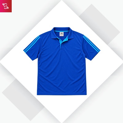 Adidas Dryfit Polo T-Shirt - Blue (S89140)